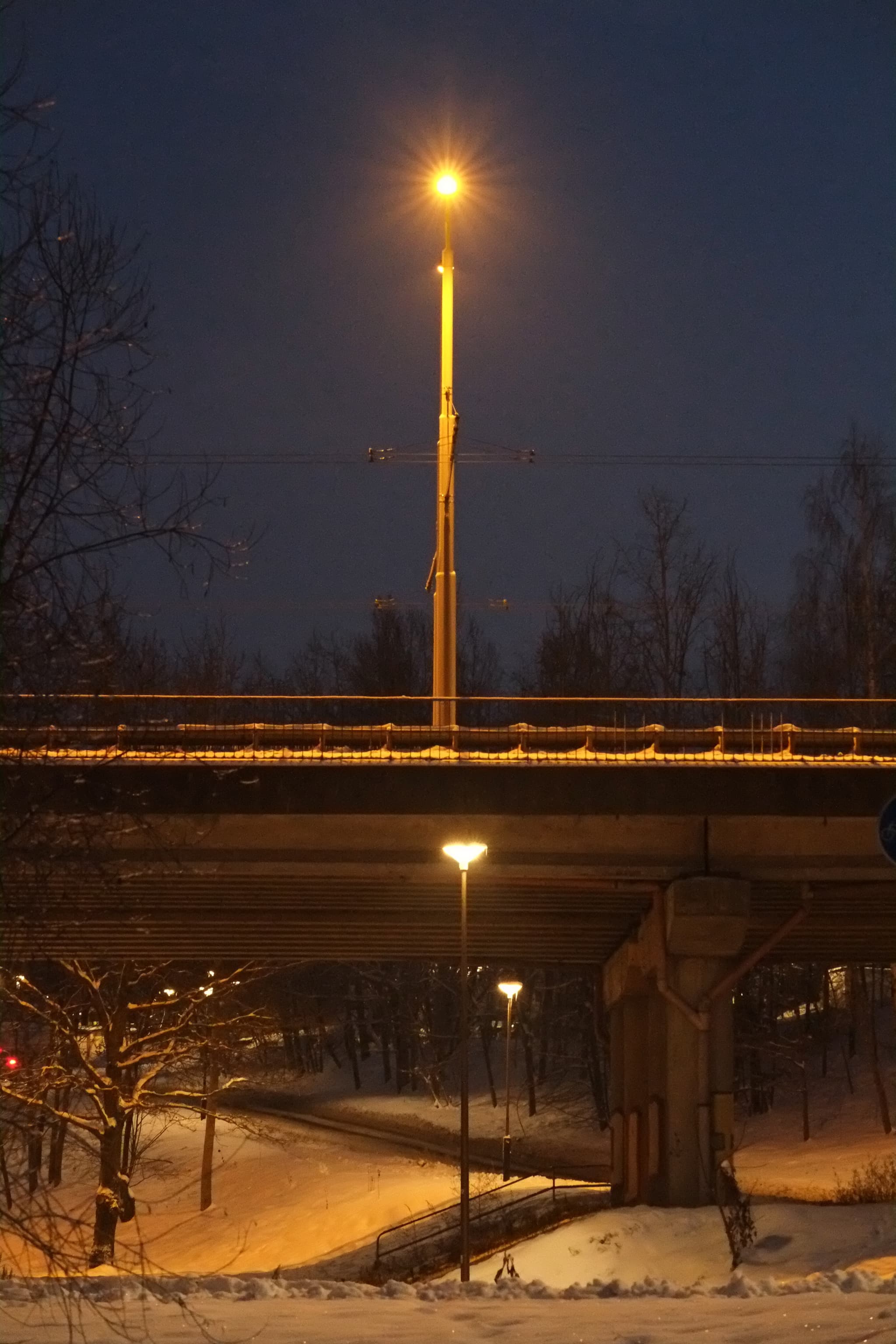 winter lights