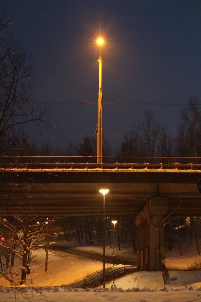 winter lights