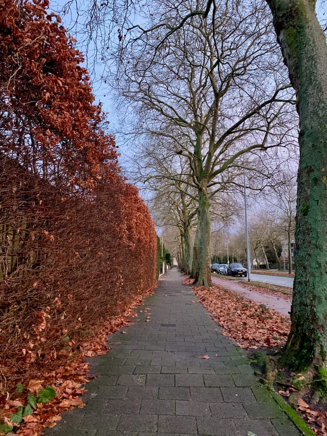Autumn